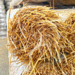 Erosiontech ETRS-2-100BN MKB