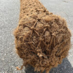 Coir Logs 16" x 10'
