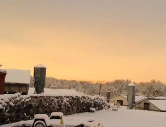 raymonds turkey farm winter1