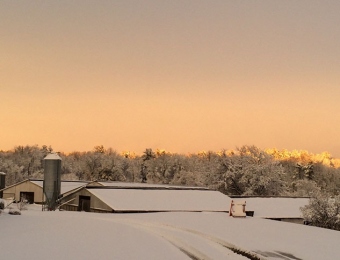 raymonds turkey farm winter2